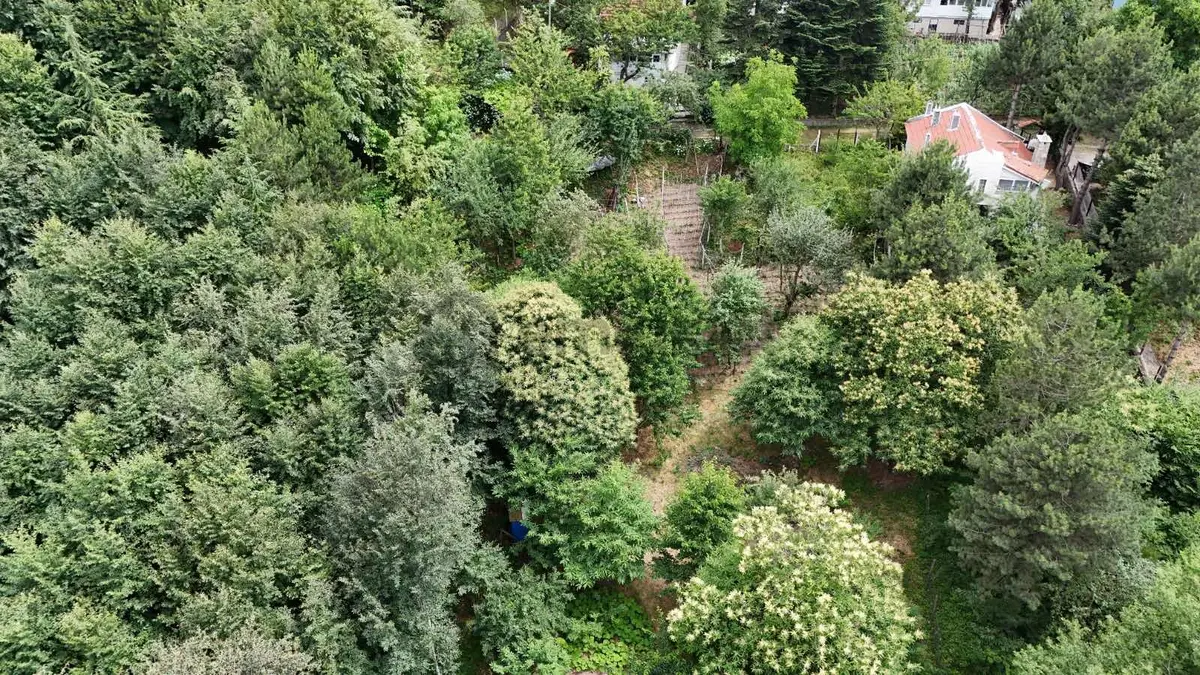 Uludağ Süleymaniye Elmaçukur Köyünde Satılık Arsa - 7