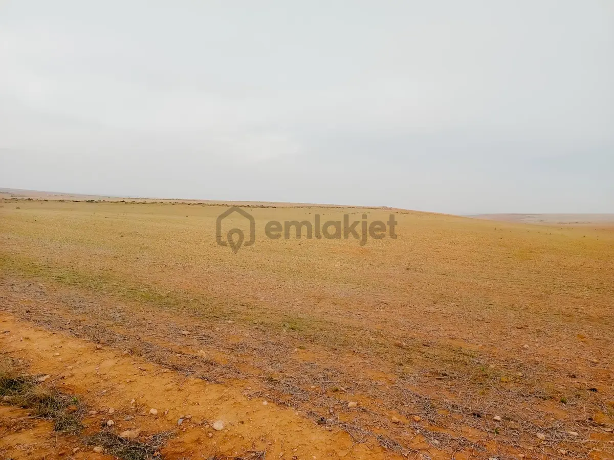 Yukarıpınarbaşı'nda Satılık 26717 M2 Tarla Hissesi - 5