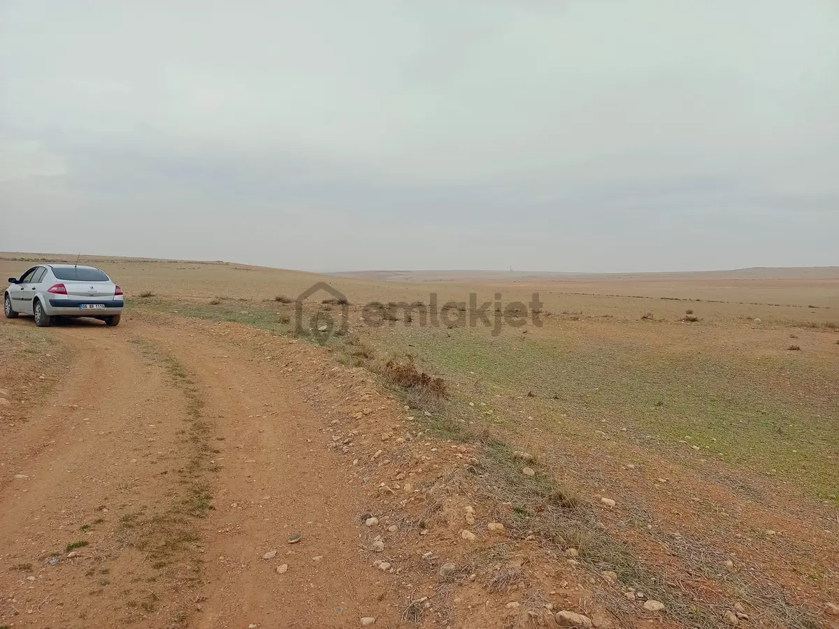 Yukarıpınarbaşı'nda Satılık 26717 M2 Tarla Hissesi - 3