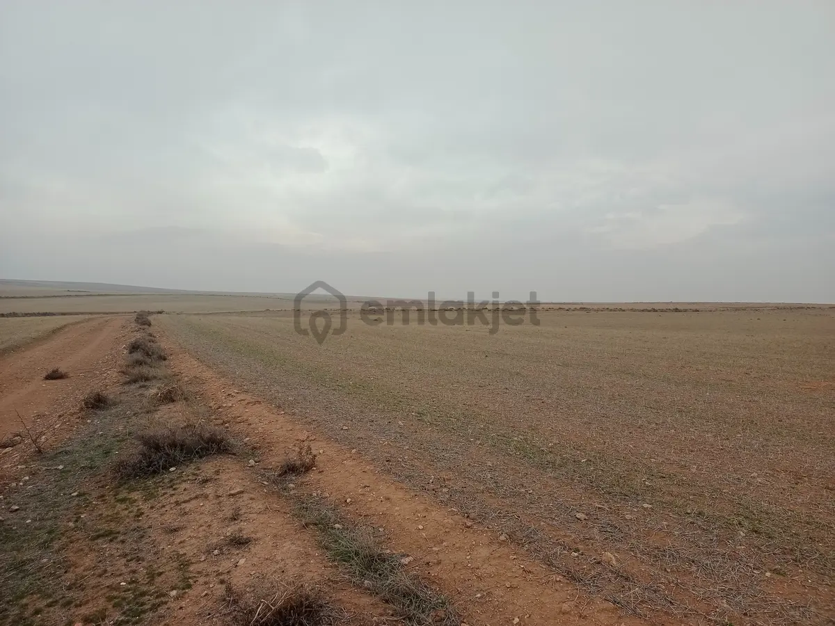 Yukarıpınarbaşı'nda Satılık 26717 M2 Tarla Hissesi - 12