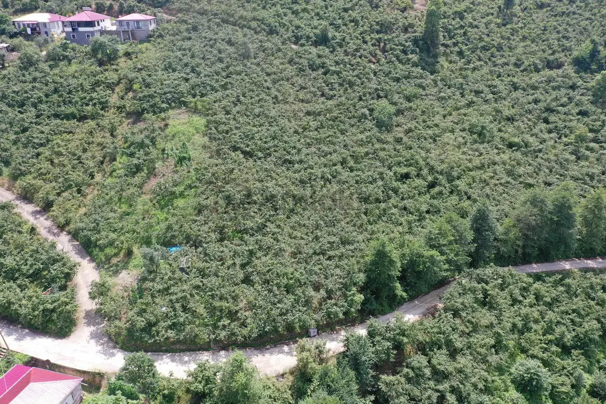 Ortahisar Yeşilyurt'ta Satılık 1976m² Arsa - 15