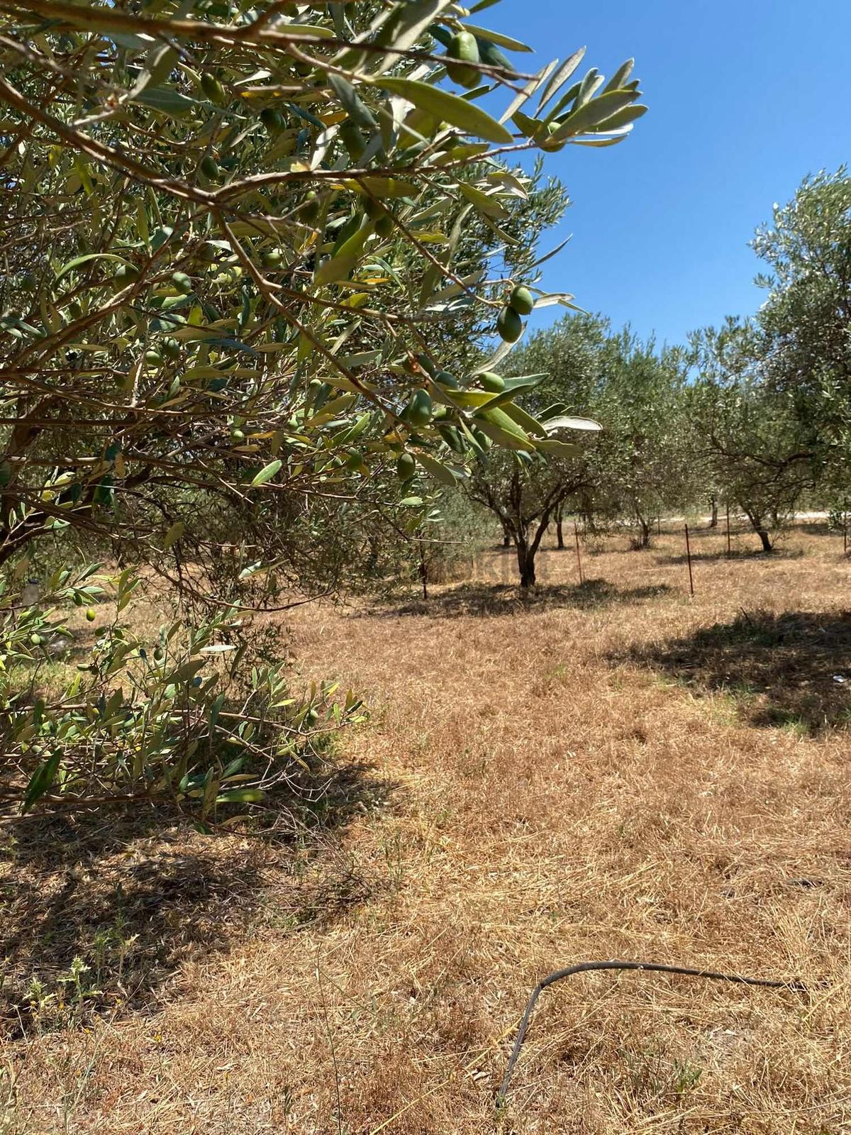 Kuşçularda 251 M2 Satılık Parsel - 7
