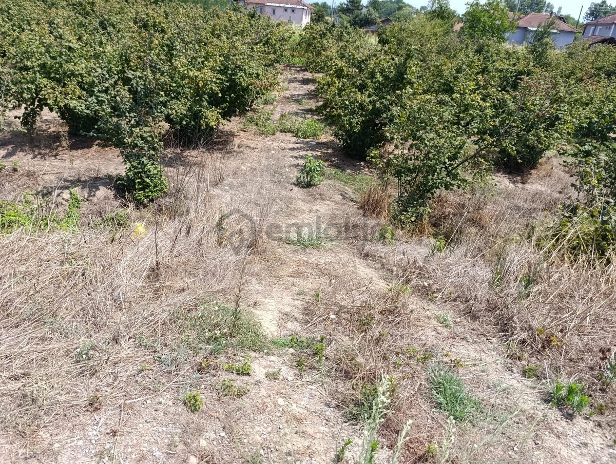 Kw Metsa'dan Gölyaka Gişelerinde Yola Cephe 2438 M² Satılık Arsa - 17