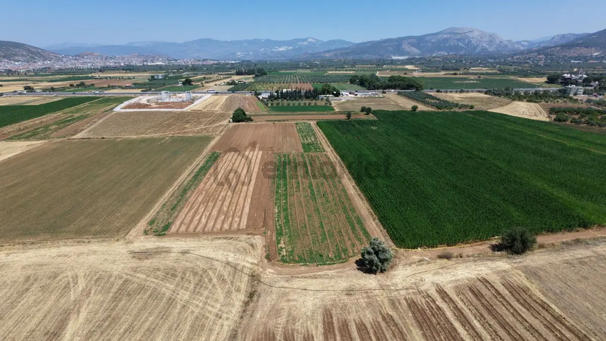 Muğla Milas Beçin Mah. Satılık Tarla 4.200 M² - 23
