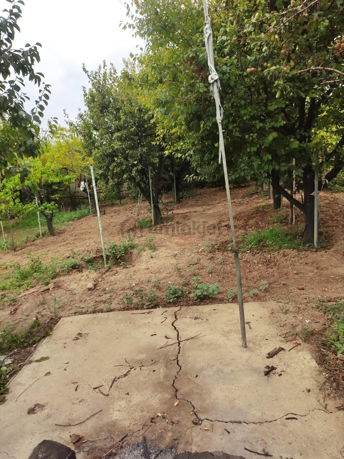 Çatalca İzzettin 4013m2 Villa - 9