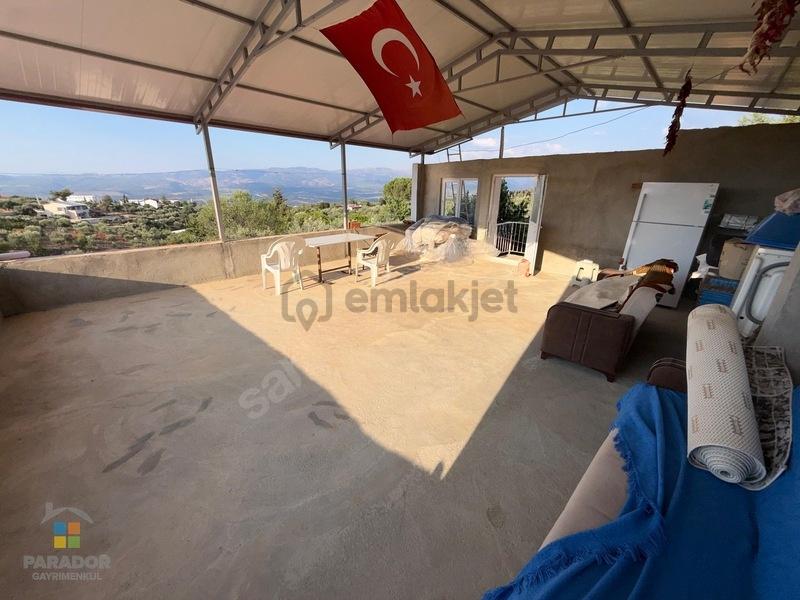 Aydın Karacasu Küçükdağlı Mahallesi Satılık 12925 M² Zeytinlik - 31