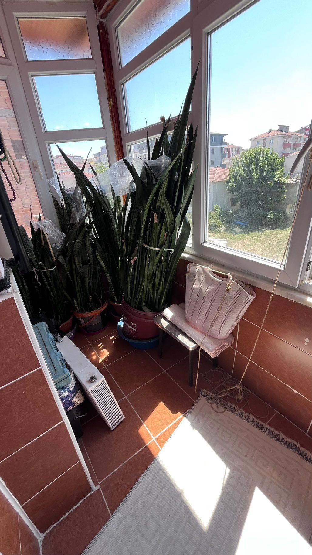 Müstakil Satılık - 21