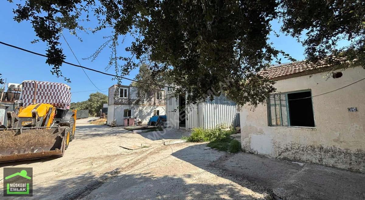 Bodrum Yakaköyde Satılık Tarla - 3