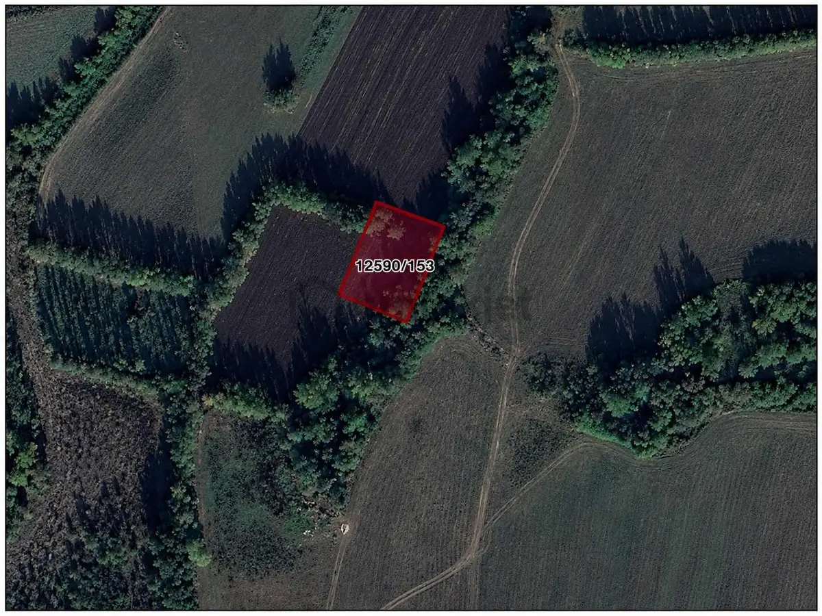 Remax Serhat/kamalı/tek Tapu/satılık Arsa - 5
