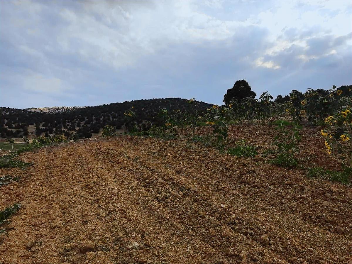 Karadığınde 2100 M2 Satılık Tarla