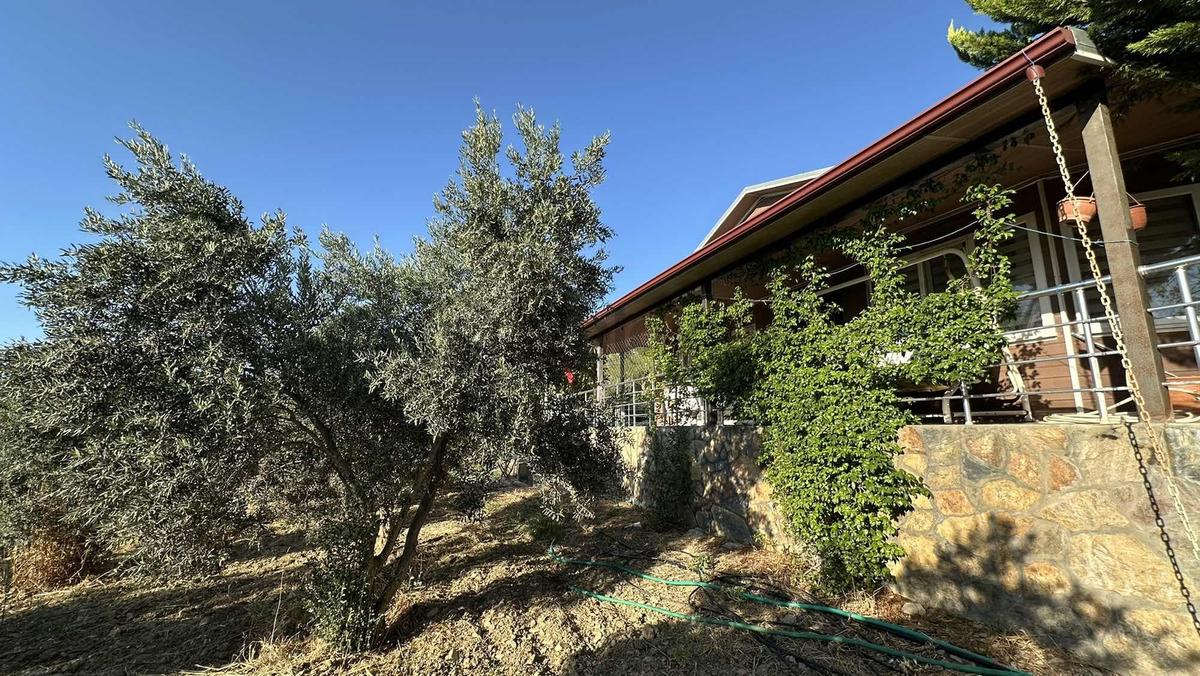 Gömeç'te 2800m2 Asfalt Yola Cephe Çiftlik Evi - 12