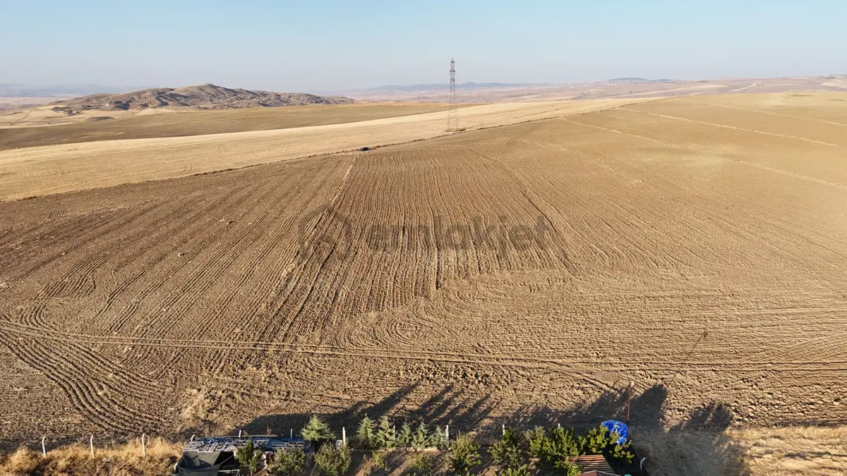 Soğulcakda 14.394m2 Tek Tapu Kök Tapu Satılık Tarla Karadeniz Em - 30