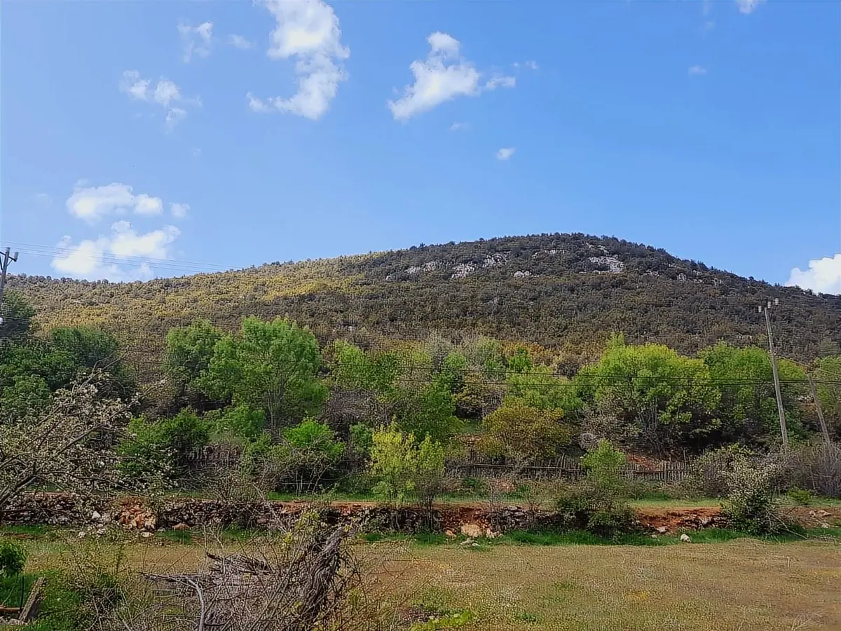 Yayla Ceylan Da Acil Satılık Köy İçi İmarlı Arsa - 3