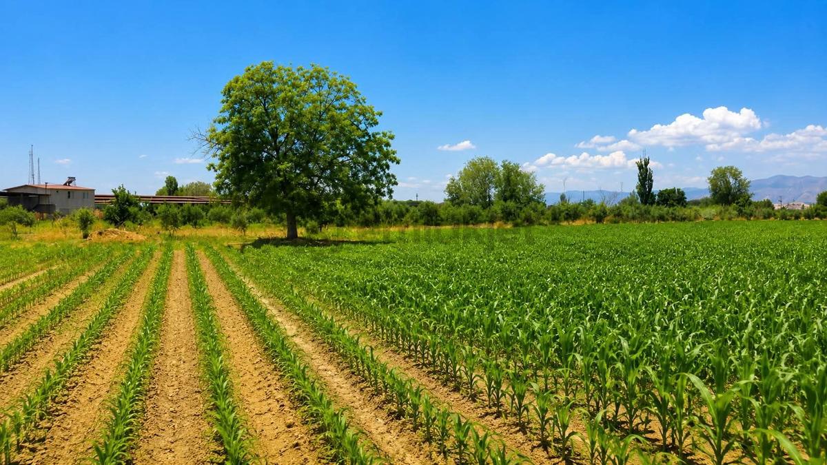 Ali Akdoğan Emlak'dan Satılık 35.000 M² Tarla - 11