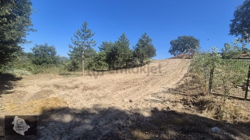 Acil Satılık Deydinlerde Asfalta Cephe Bağ Yeri - 11