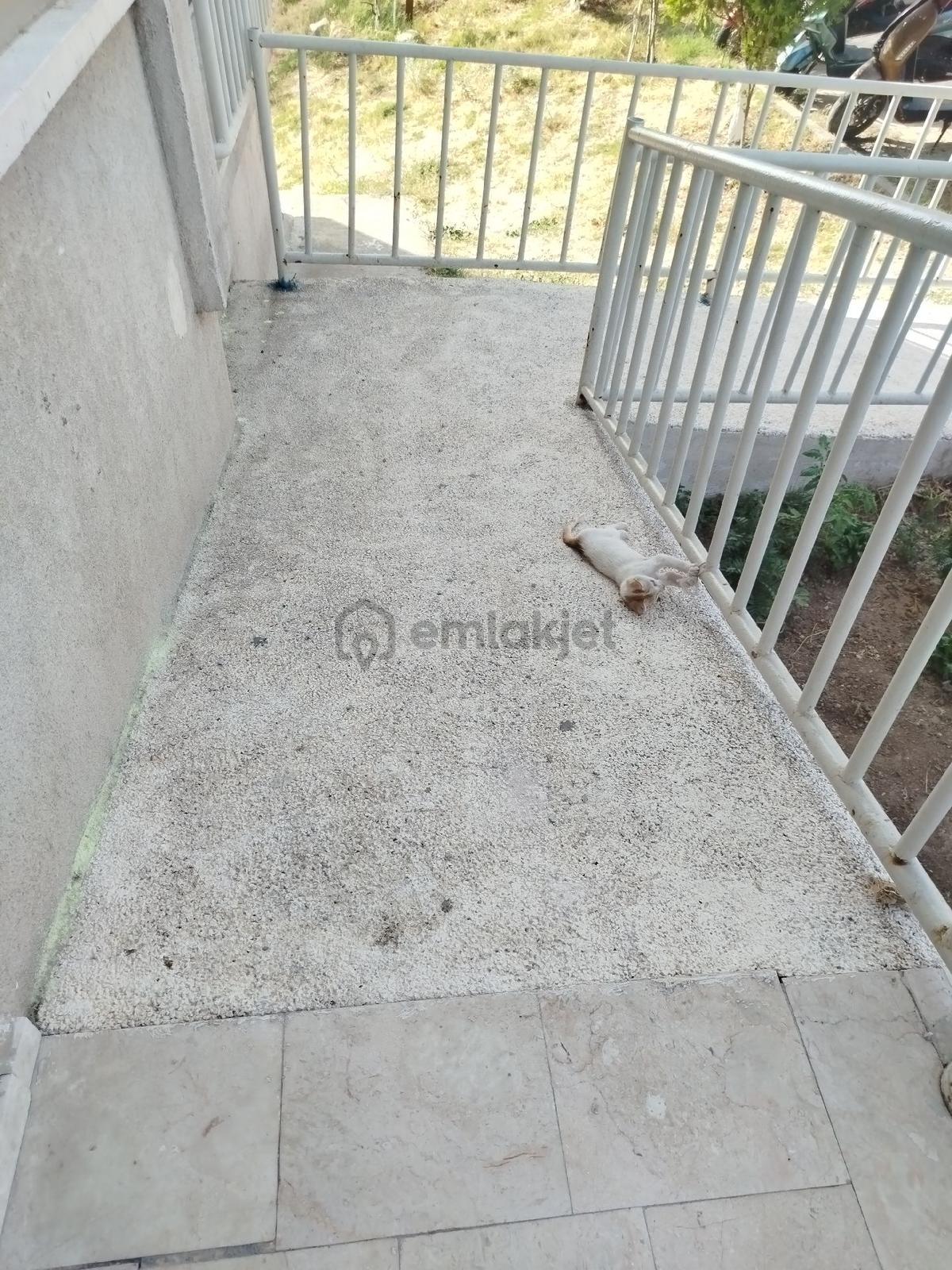 Soma Tokilerde Ara Kat Daire - 26