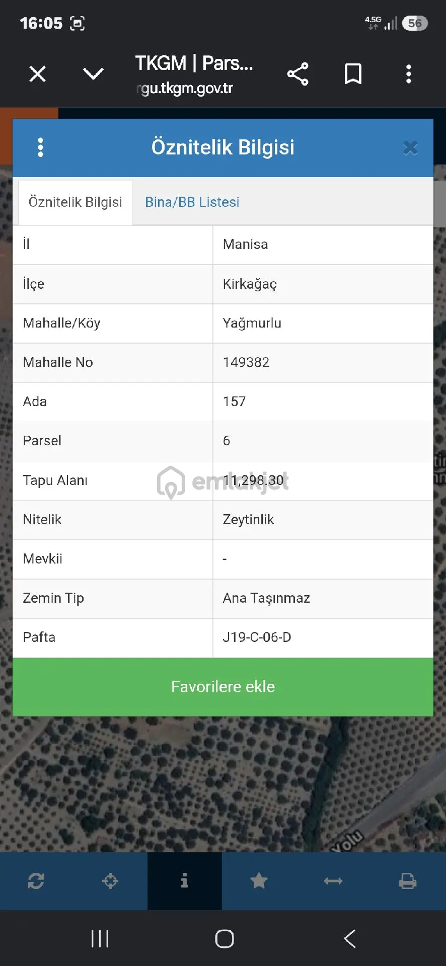 Acil Satılık Zeytinlik