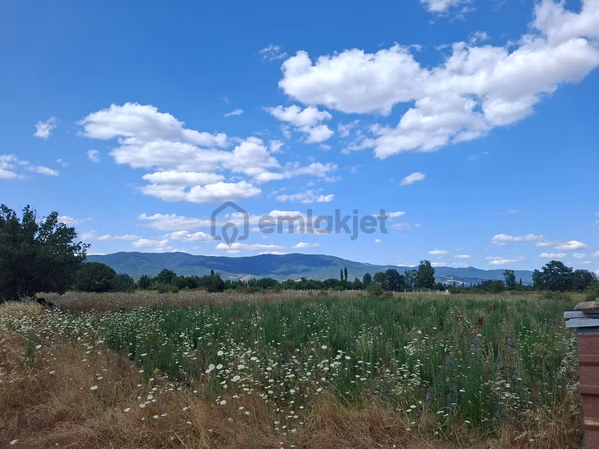 Kazdağları Akçakoyun Kaçırmayın - 2