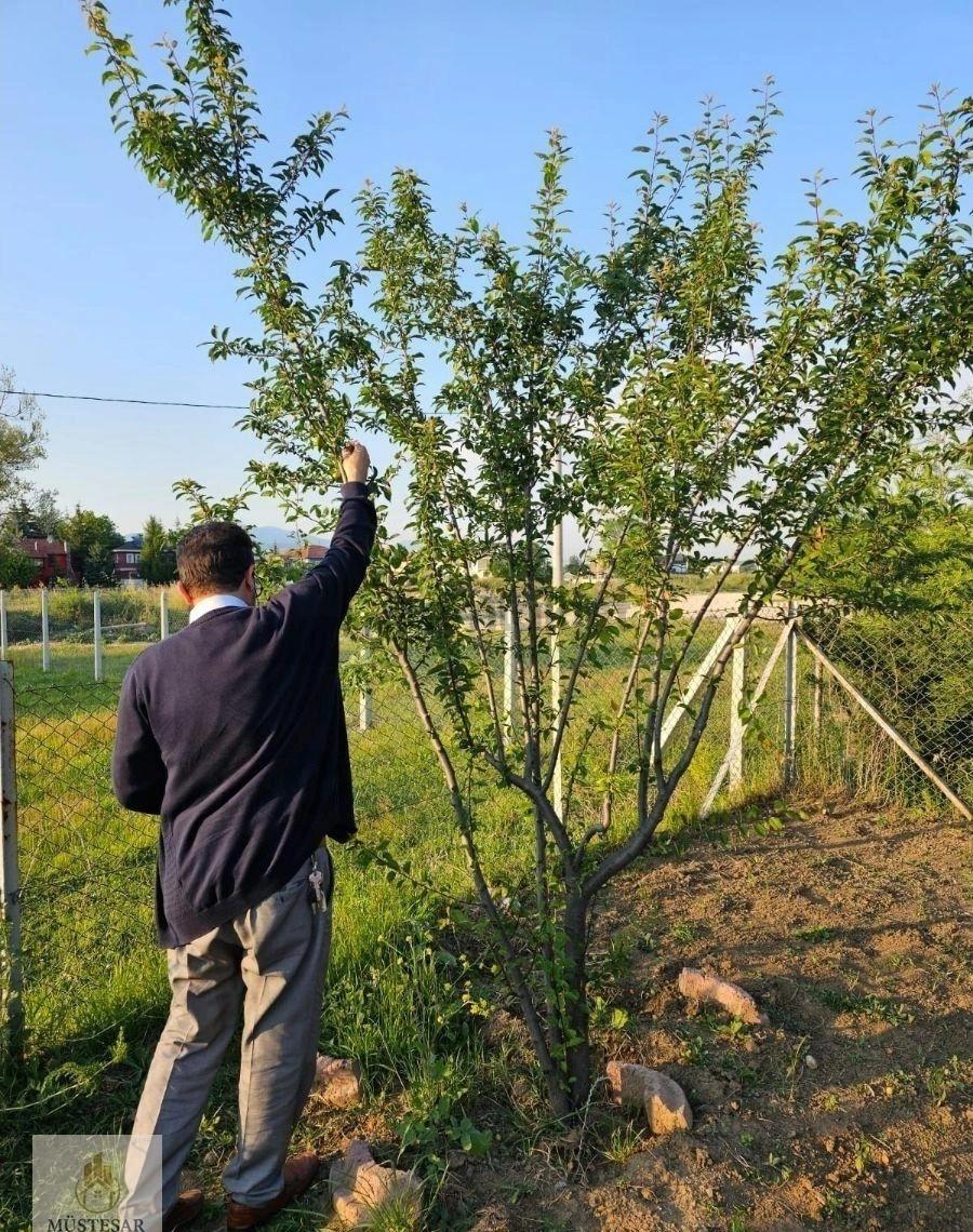 Berk Yenimahalle 336m2 Arsa Ve Ahşap Ev - 4