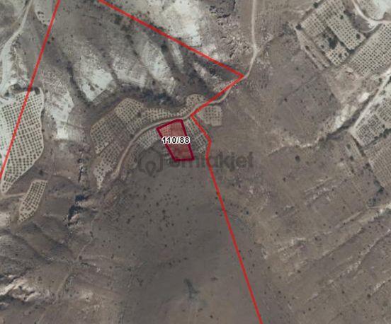 Ürgüp Ulaşlı Köyü’nde Satılık 1.464 M² Bağ - 2