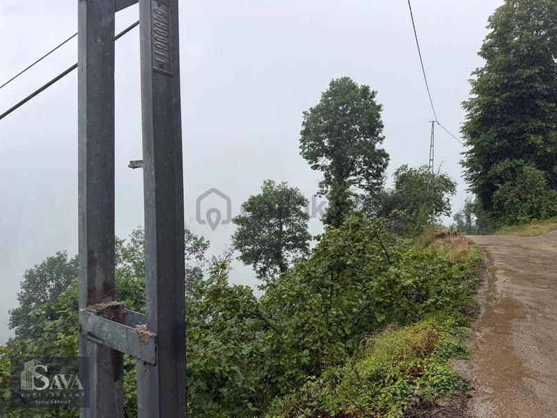 Sava Yapı Emlaktan Bostanlı'da 6818 M2 Satılık Fındık Bahçesi - 10
