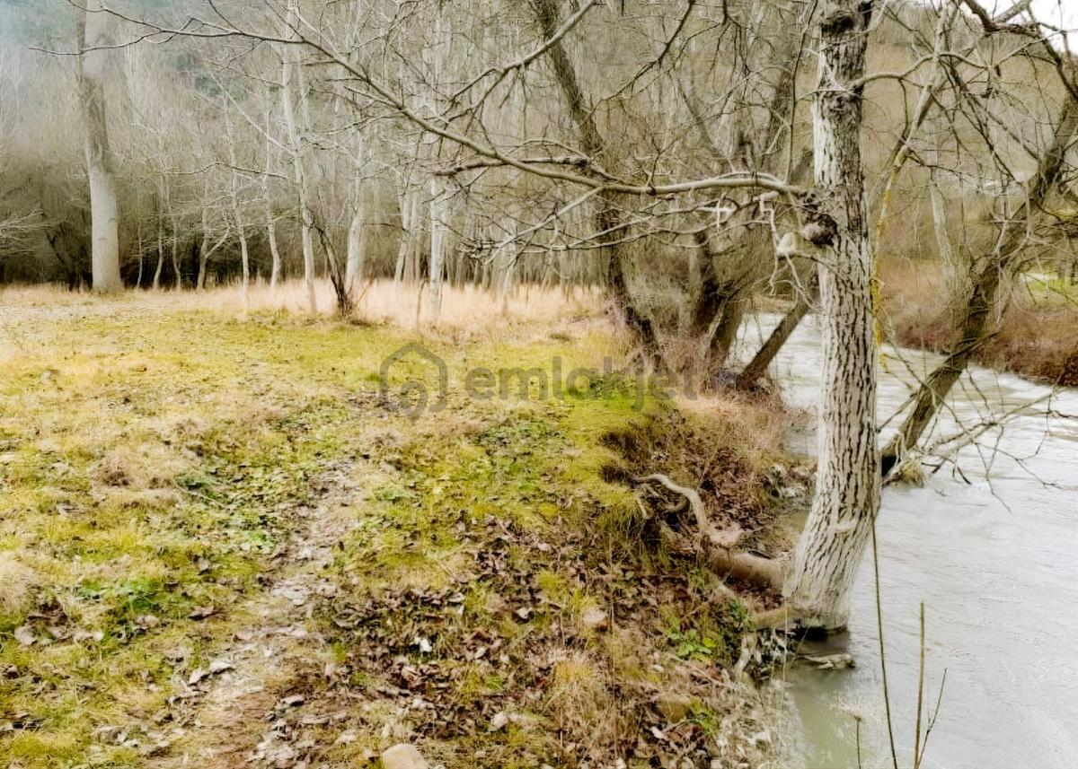 Taraklı'da Satılık Bahçe 955m2 - 10