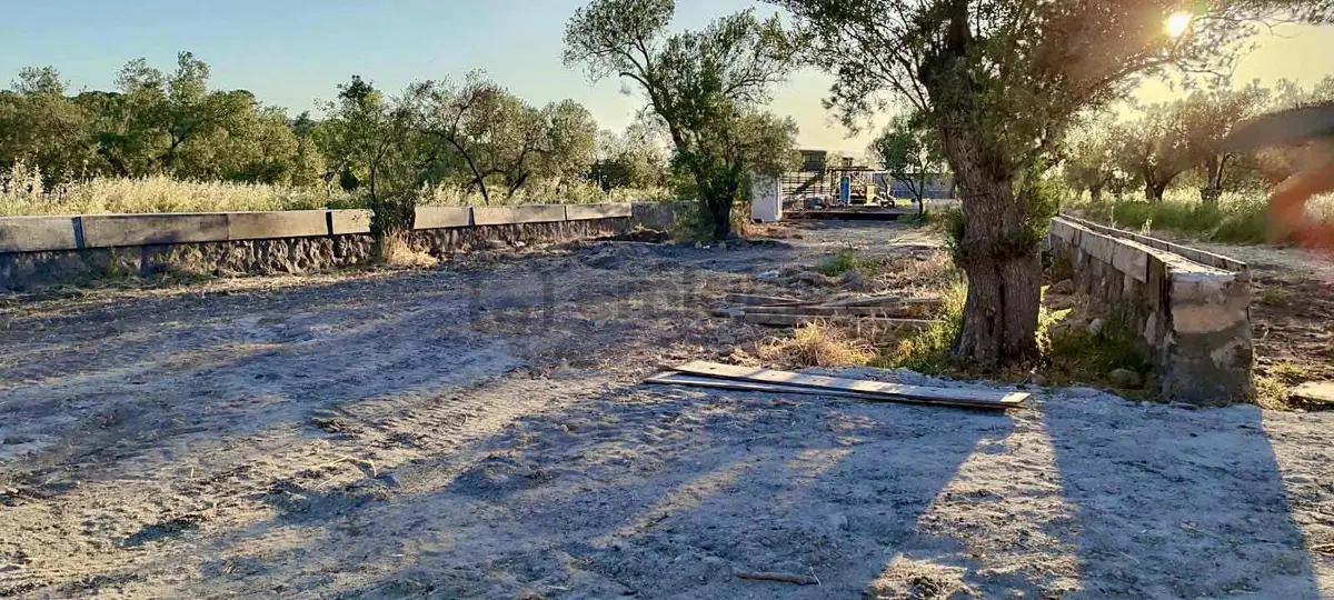 İzmir Dikili Bademlide Denize 100 Metre Mesafede Tarla - 32