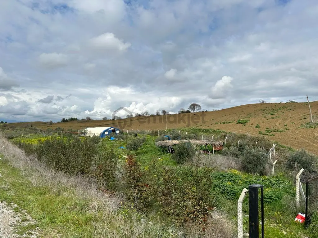 Karaisalı Yolu Üzeri Tek Tapu Arsa - 9