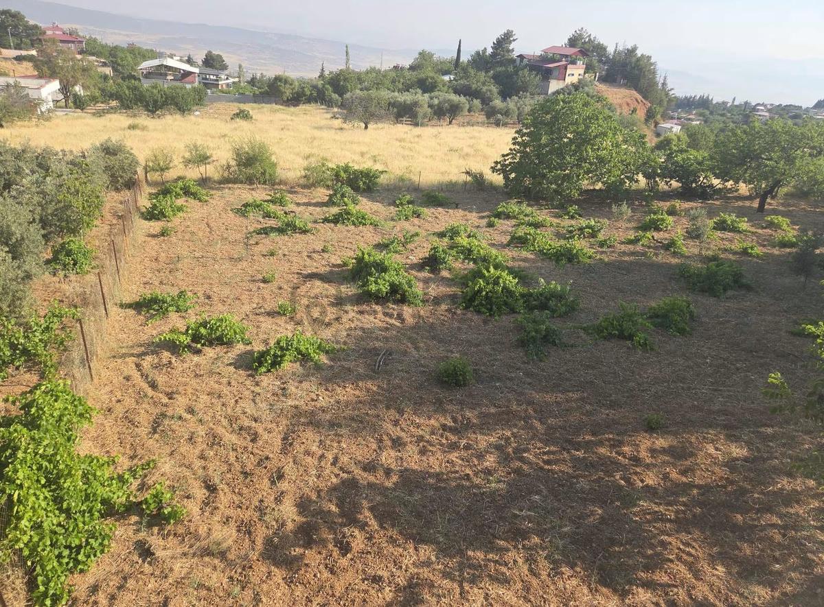Satılık Gafarlıda Bağ - 18