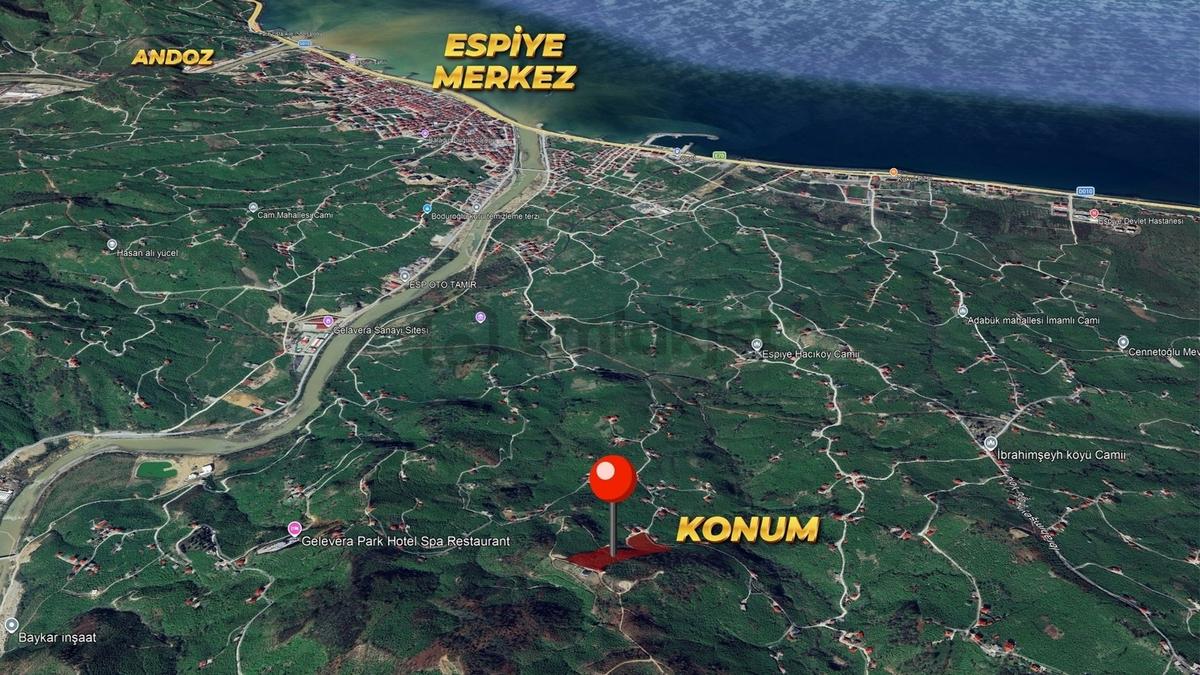 Fibi'den Espiye Hacıköy'de 15 Dönüm Satılık Bahçe - 11