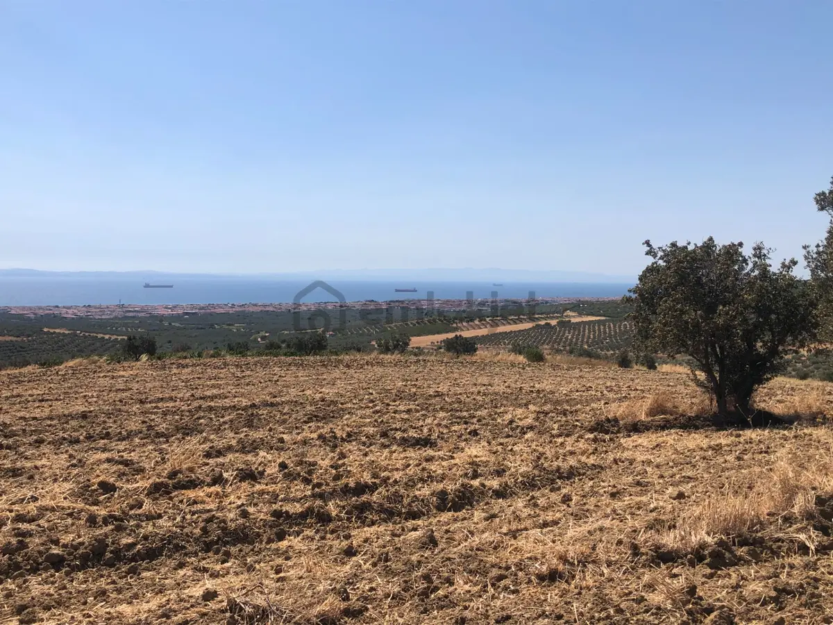 Şarköy De Işık Emlaktan İğdebağları Mah De 8600 M2 Tarla - 4