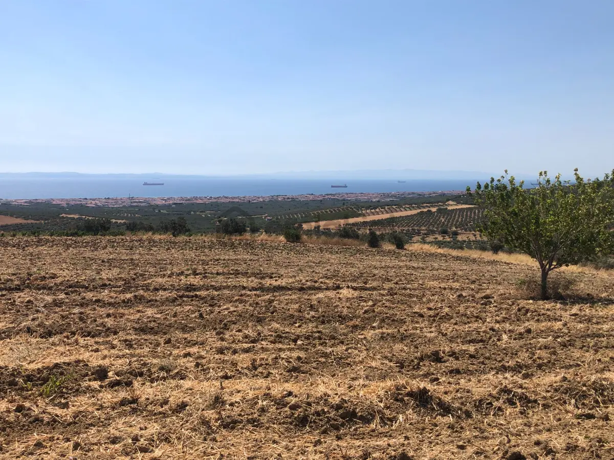 Şarköy De Işık Emlaktan İğdebağları Mah De 8600 M2 Tarla - 9