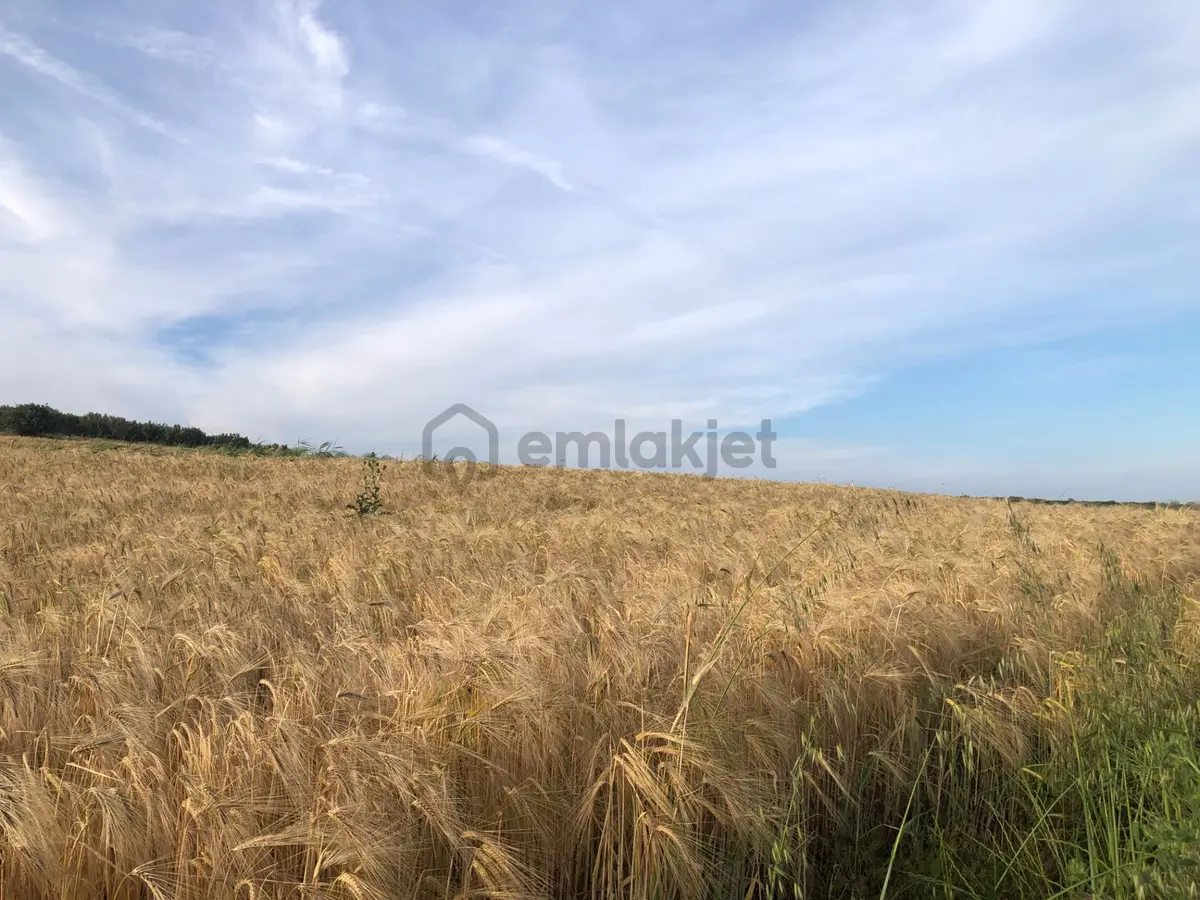 Şarköy De Işık Emlaktan İğdebağları Mah De 8600 M2 Tarla - 10