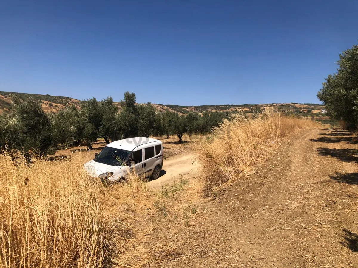 Şarköy De Işık Emlaktan İğdebağları Mah De 8600 M2 Tarla - 13
