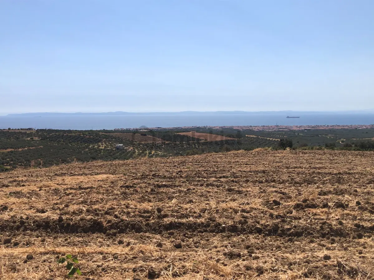Şarköy De Işık Emlaktan İğdebağları Mah De 8600 M2 Tarla - 3