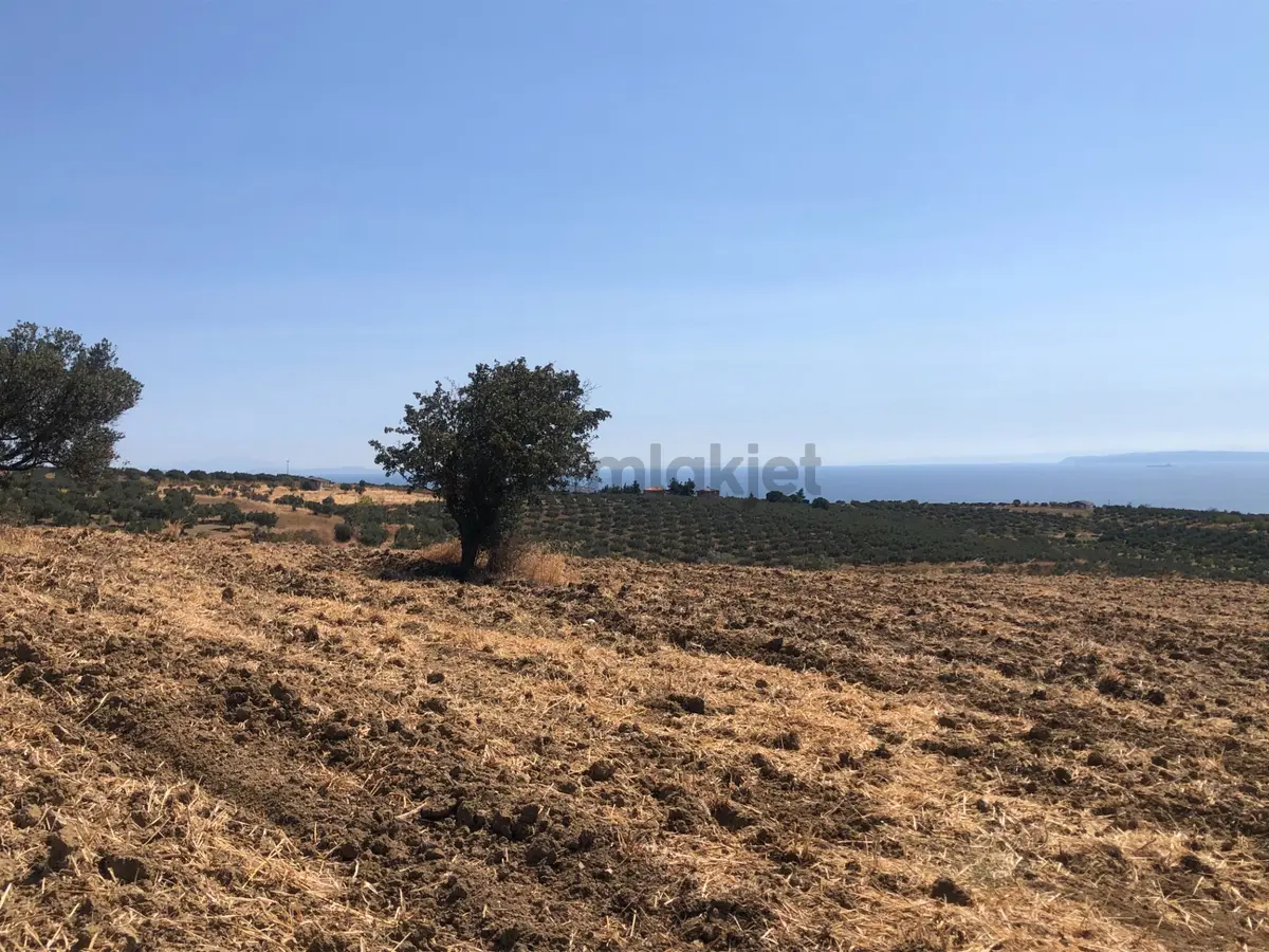 Şarköy De Işık Emlaktan İğdebağları Mah De 8600 M2 Tarla - 8