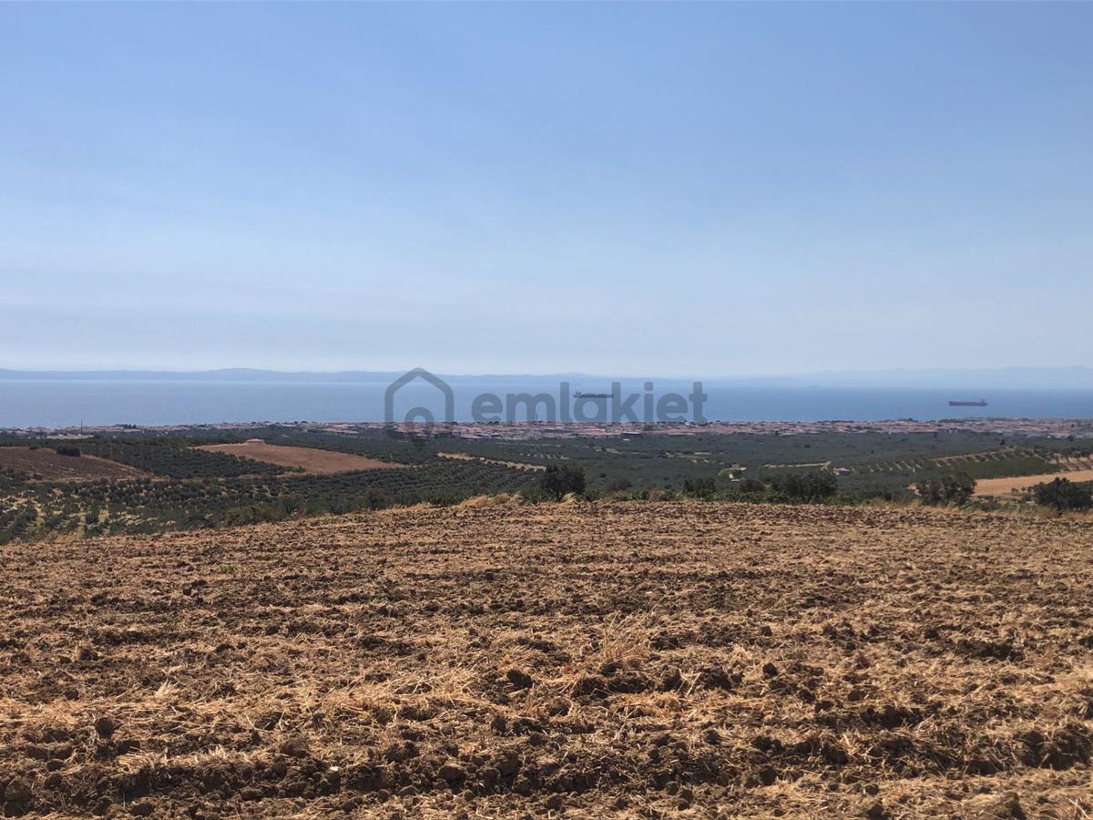 Şarköy De Işık Emlaktan İğdebağları Mah De 8600 M2 Tarla