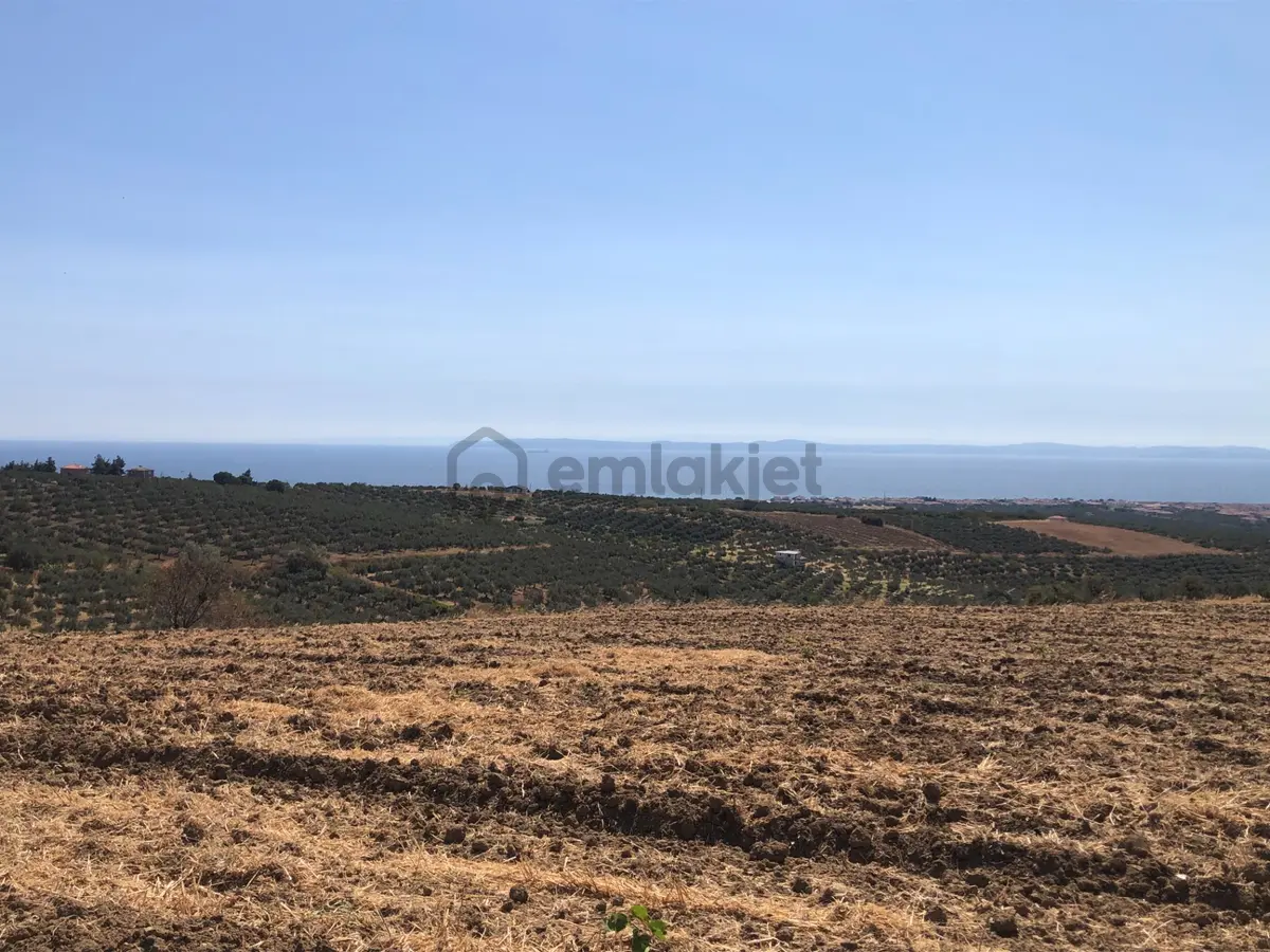 Şarköy De Işık Emlaktan İğdebağları Mah De 8600 M2 Tarla - 5