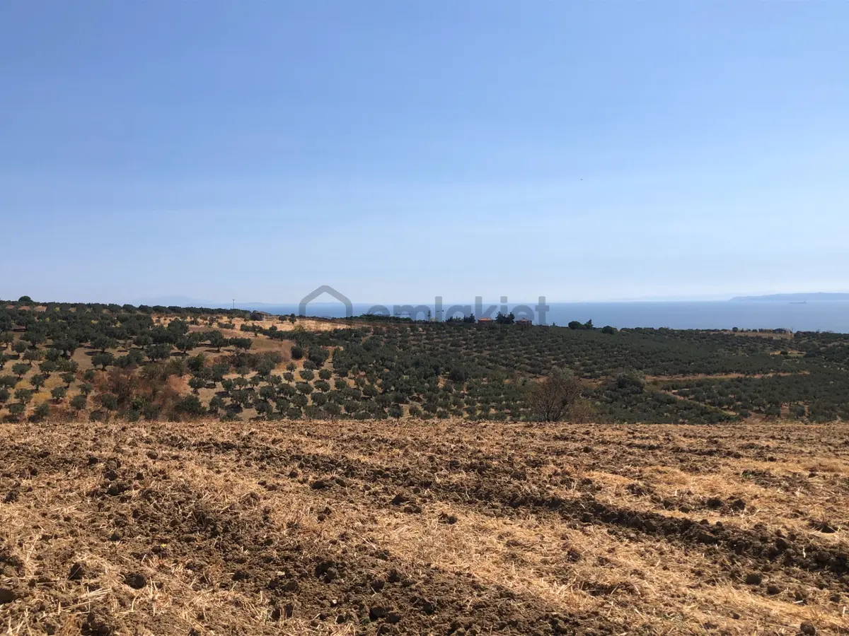 Şarköy De Işık Emlaktan İğdebağları Mah De 8600 M2 Tarla - 10