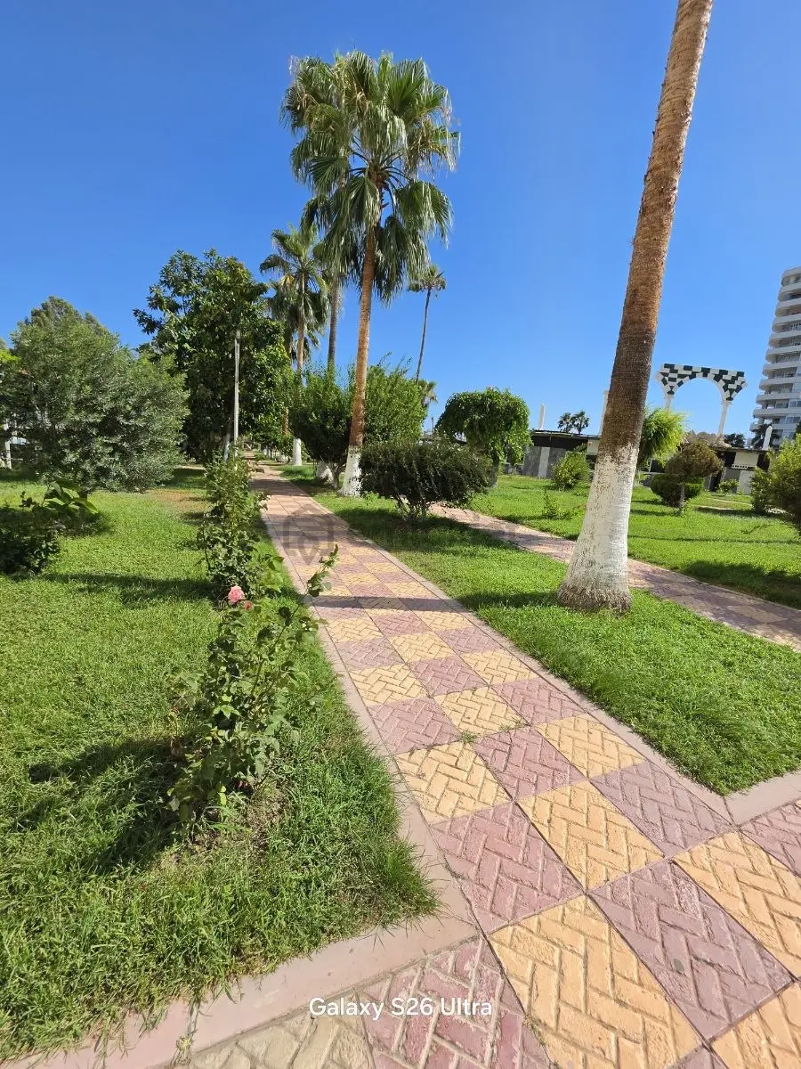 Denize Sıfır 2+1 Mükemmel Sitede - 3