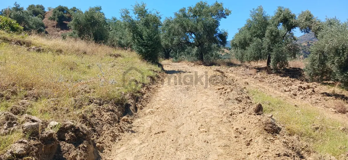 Sahibinden Satılık 1hektar527m2 Bahçe - 8
