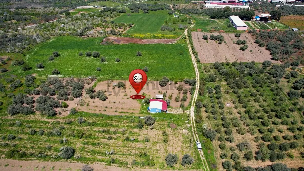 Kemalpaşa Halilbeylide Satılık 3000 M2 Bahçe 50 M2 Ev - 23