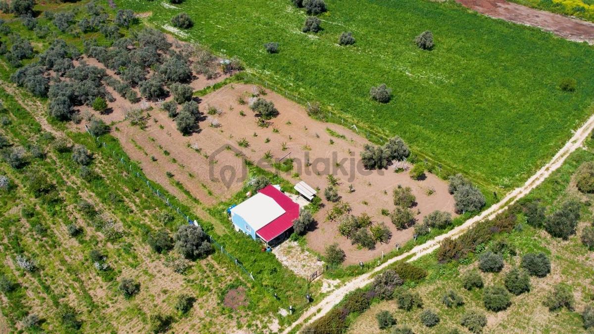 Kemalpaşa Halilbeylide Satılık 3000 M2 Bahçe 50 M2 Ev - 3