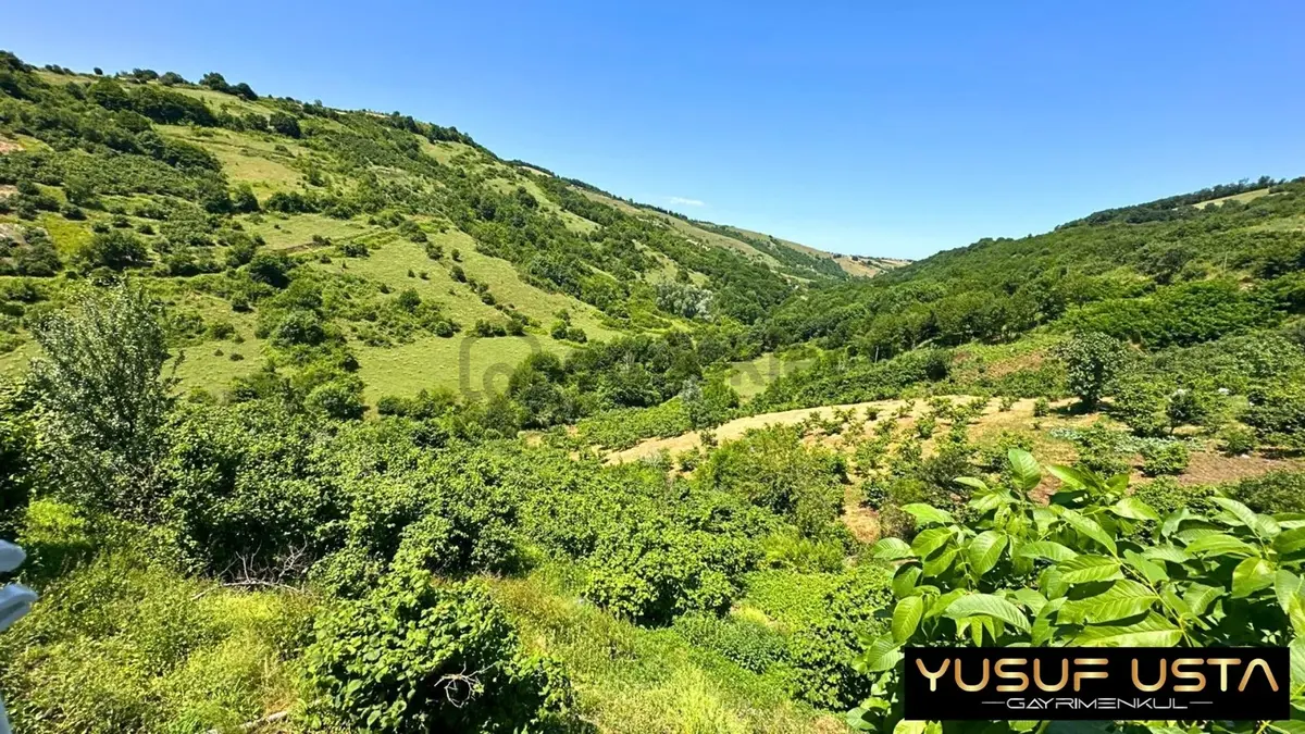 Yusuf Usta Gay - 28