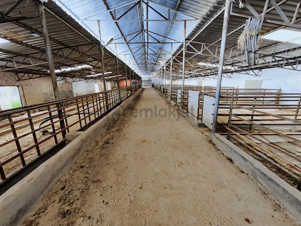 Ümitemlak'tan Hazır Besihane Çiftlik - 25
