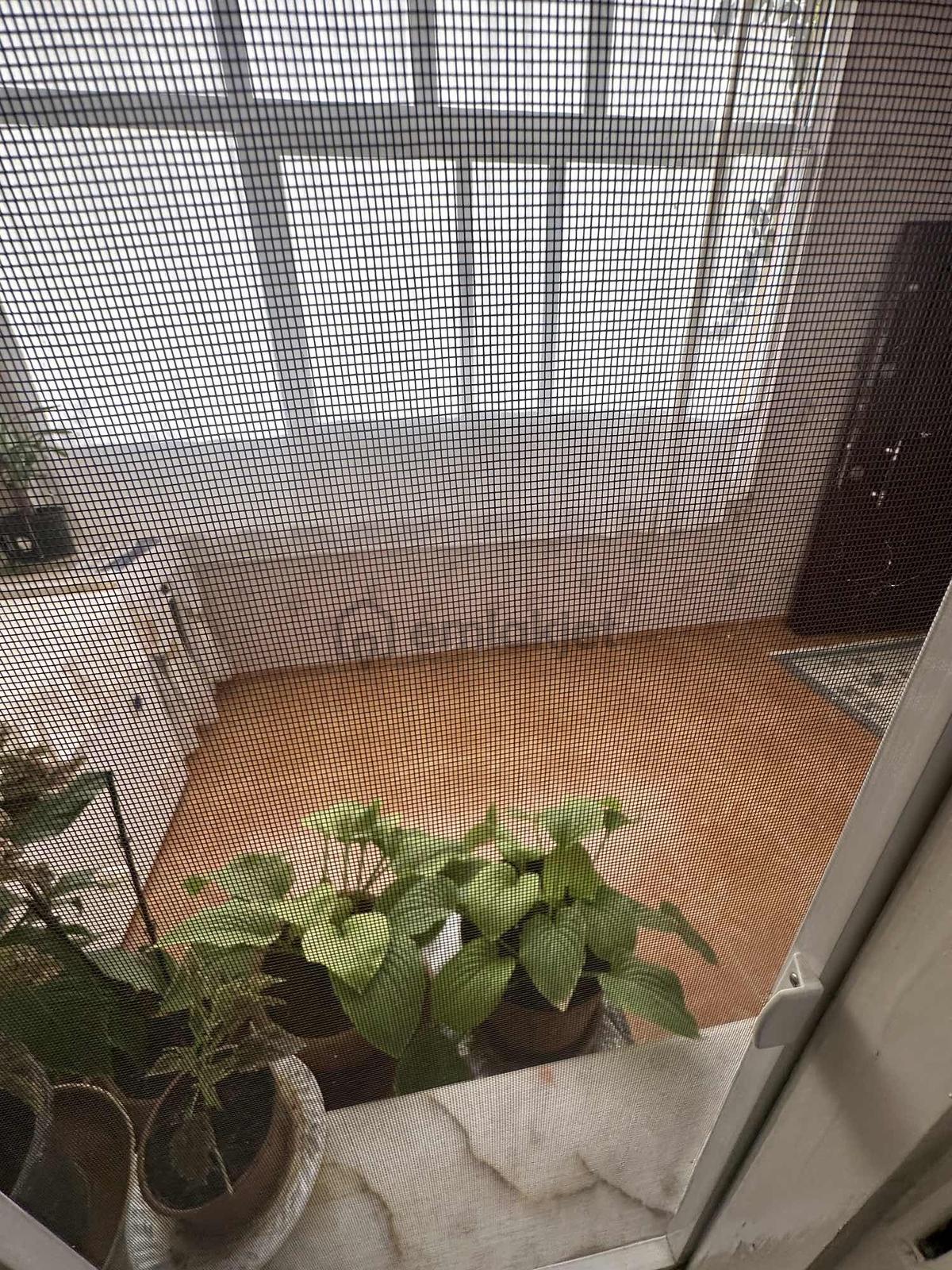 Satılık Müstakil 2 Katlı Ev Ve 2 Dükkan - 23