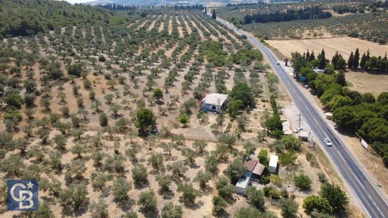Eski Foça Yolu Üzerinde İşletme Ruhsatlı Kupon Yer - 9