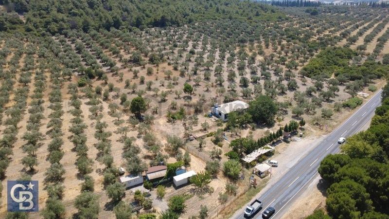 Eski Foça Yolu Üzerinde İşletme Ruhsatlı Arsa - 24