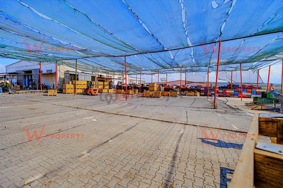 W Property'den Niğde Bor'da 2.291 Dönüm Elma Bahçesi - 7