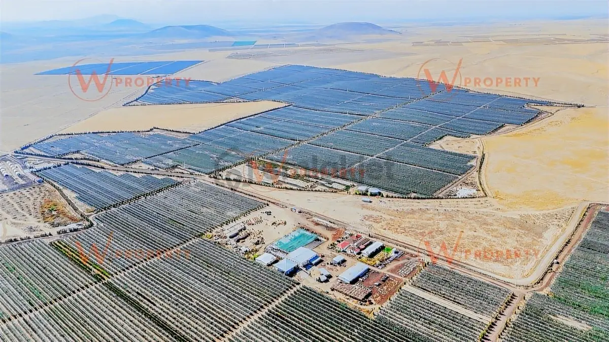 W Property'den Niğde Bor'da 2.291 Dönüm Elma Bahçesi - 30